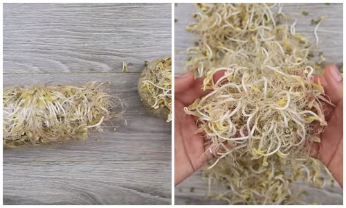 Cách nấu miến gà kiểu mới dai ngon, ngọt sợi cho bữa sáng tràn đầy năng lượng