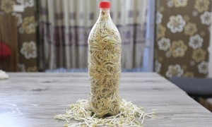 Cách nấu miến gà kiểu mới dai ngon, ngọt sợi cho bữa sáng tràn đầy năng lượng