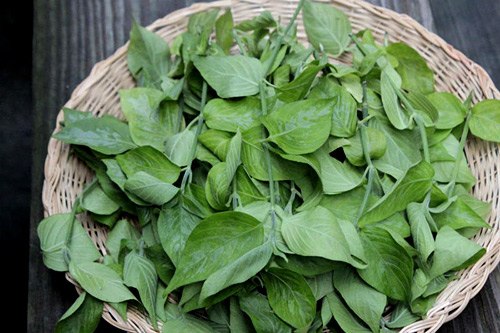 Cách nấu xôi lá cẩm ngon