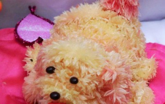 Cách tỉa trái cây thành hình con vật bày mâm cỗ trung thu