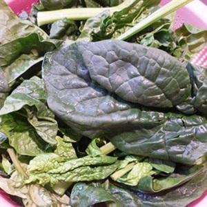 Cách làm cải bó xôi xào dầu hào