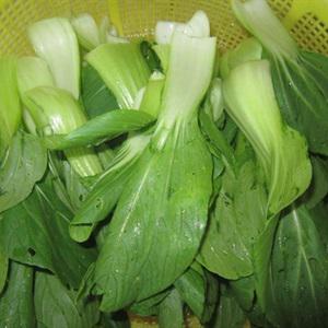 Cách làm cải thìa xào tỏi