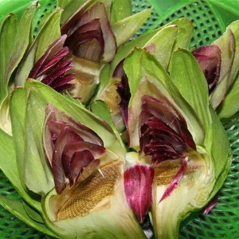 Cách làm canh atiso nấu giò heo