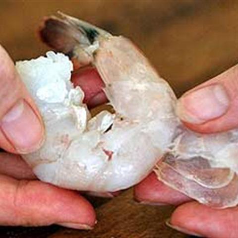 Cách làm canh bầu nấu tôm