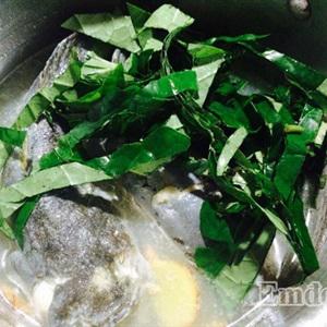 Cách làm canh cá bớp nấu lá lốt