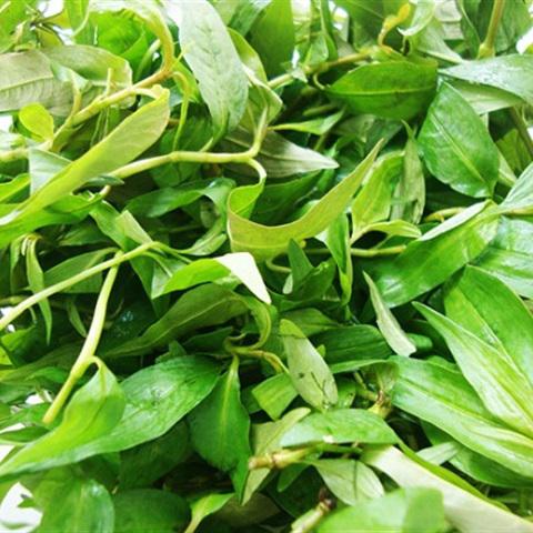 Cách làm canh cá diếc rau răm