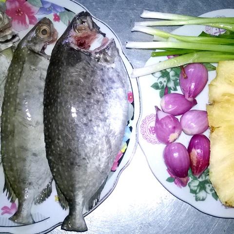 Cách làm canh cá kình nấu thơm