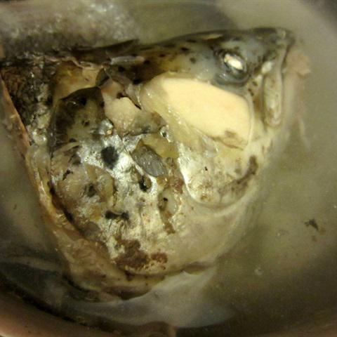 Cách làm canh cá nấu thì là