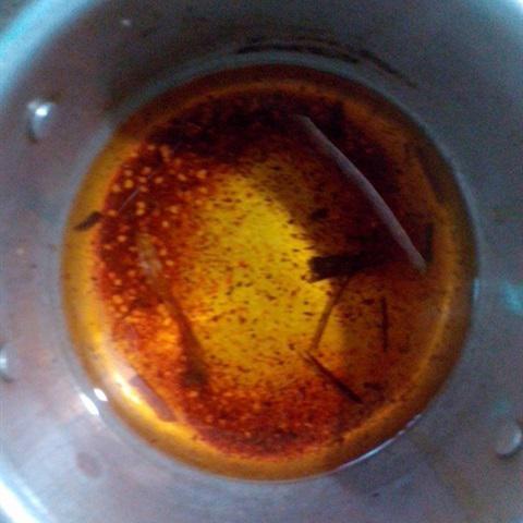 Cách làm canh cá ngạnh sông nấu khế