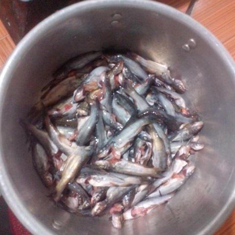 Cách làm canh cá ngạnh sông nấu khế