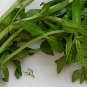 Canh cá rau muống