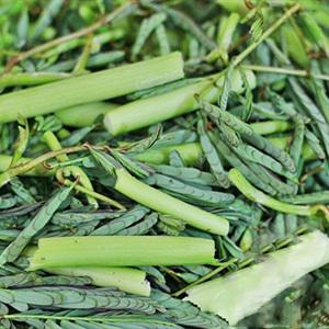 Cách làm canh cá rô rau nhút