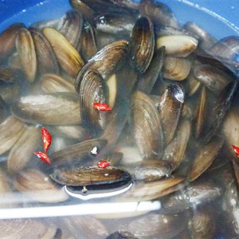 Cách nấu canh chua chem chép nấu thơm