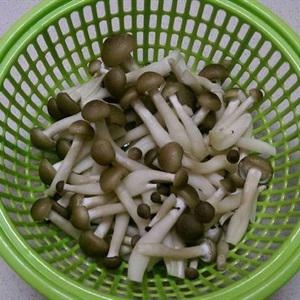 Cách làm canh chua nấu chay