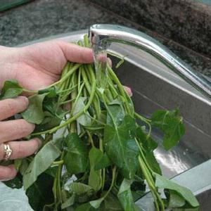 Cách làm canh chua rau muống