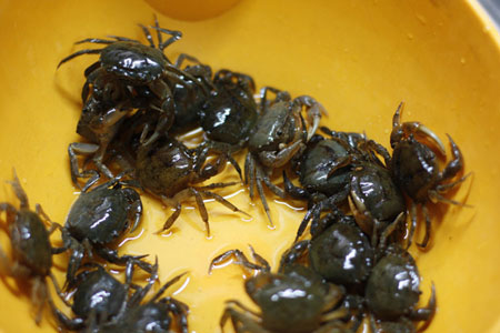 Canh cua rau đay mồng tơi và mướp