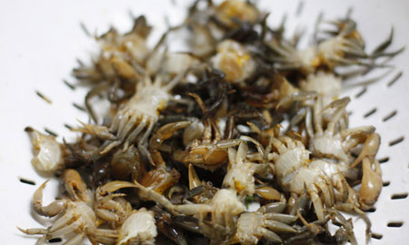 Canh cua rau đay mồng tơi và mướp