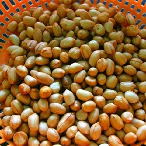 Cách nấu canh đậu phộng hầm đuôi heo