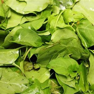 Cách làm canh gà lá giang