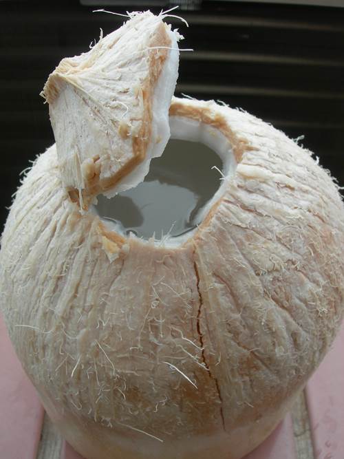 Cánh gà nhồi khoai tây chiên giòn vàng rụm, ngon hết chỗ chê