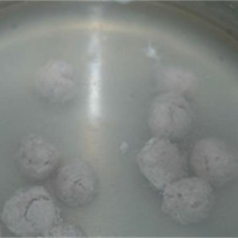 Cách làm canh hẹ nấu nấm thịt