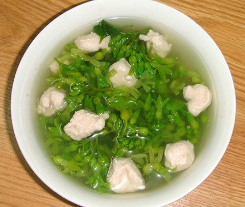 Canh hoa thiên lý nấu giò sống