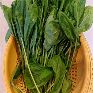 Cách làm canh kim chi nấu nấm