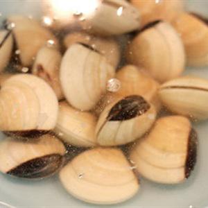 Cách làm canh mồng tơi nấu ngao