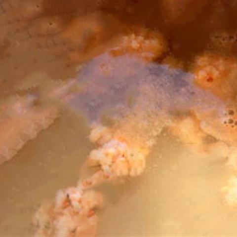 Cách làm canh mướp nấm rơm