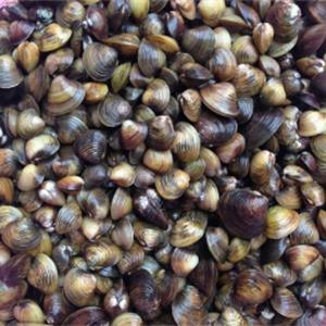 Cách làm canh mướp nấu hến