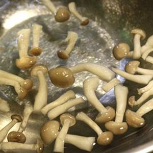 Cách làm canh nấm thịt bò