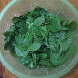 Cách làm canh nghêu mồng tơi