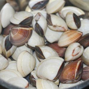 Cách làm canh nghêu nấu chua