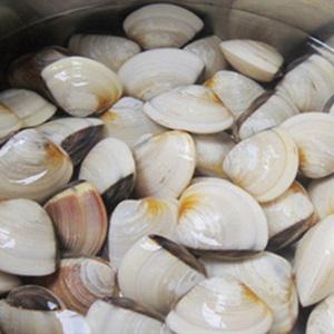 Cách làm canh nghêu nấu mồng tơi