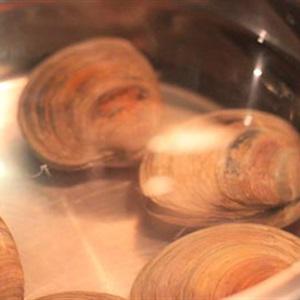 Cách làm canh nghêu nấu thì là