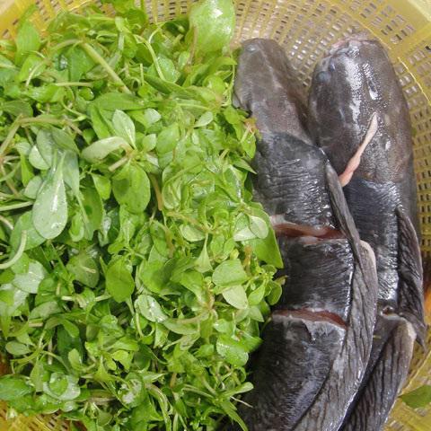 Cách làm canh rau đắng cá trê