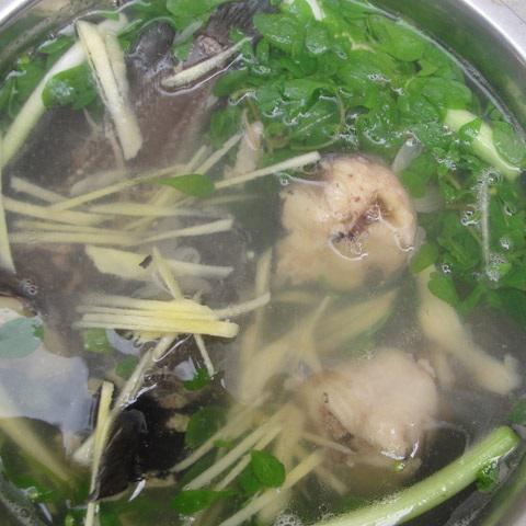 Cách làm canh rau đắng cá trê