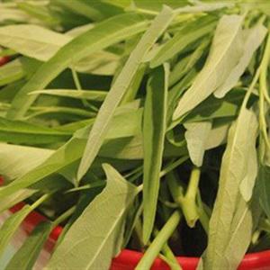 Cách làm canh rau muống nấu nghêu