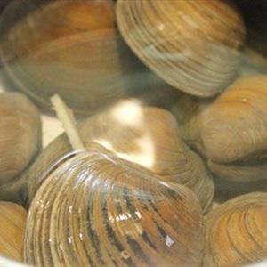 Cách làm canh rau muống nấu nghêu