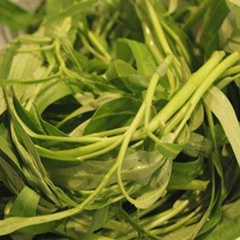 Cách làm canh rau muống nấu tôm