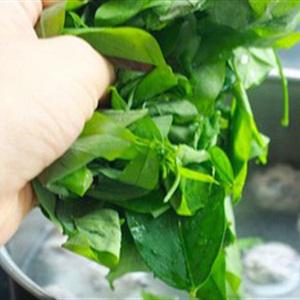 Cách làm canh rau ngót nấu mọc