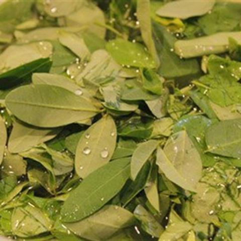 Cách làm canh rau ngót nấu tôm thịt