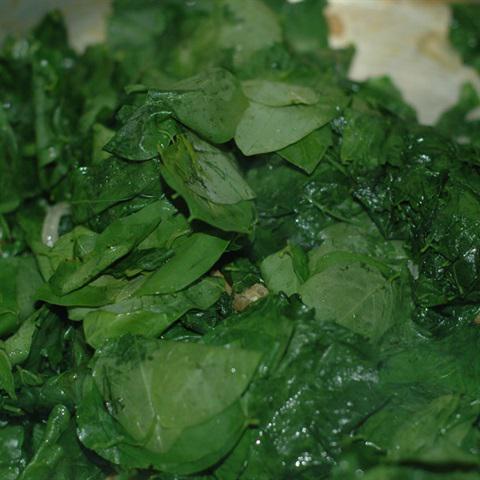 Cách làm canh rau ngót nấu tôm