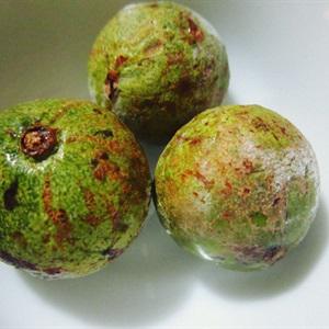 Cách nấu canh sấu thịt bằm