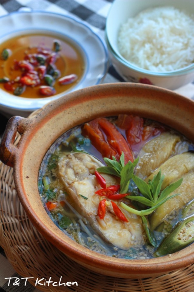 Canh súng cá bông lau