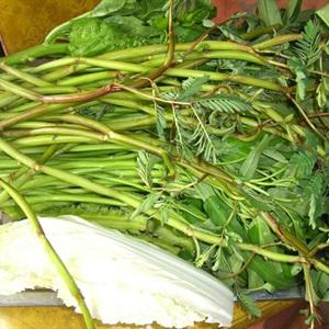 Cách làm canh sườn nấu sấu rau nhút