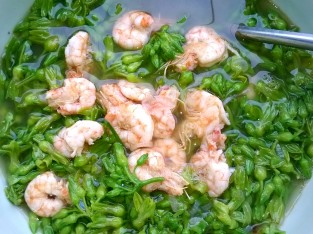 Canh thiên lý nấu tôm