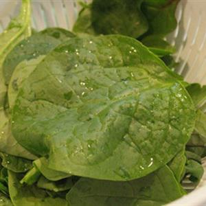 Cách làm canh thịt bằm nấu mồng tơi