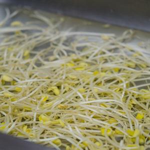 Cách làm canh giá đỗ thịt bò