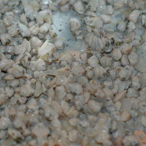 Cách làm canh thịt hến nấu cà chua